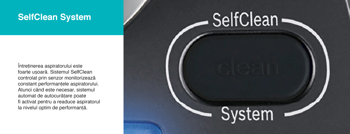 SelfClean_System.jpg