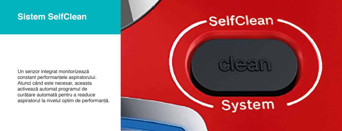 Sistem_SelfClean.jpg