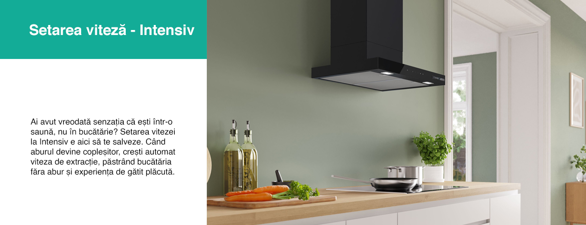 Viteza_intensiv.jpg
