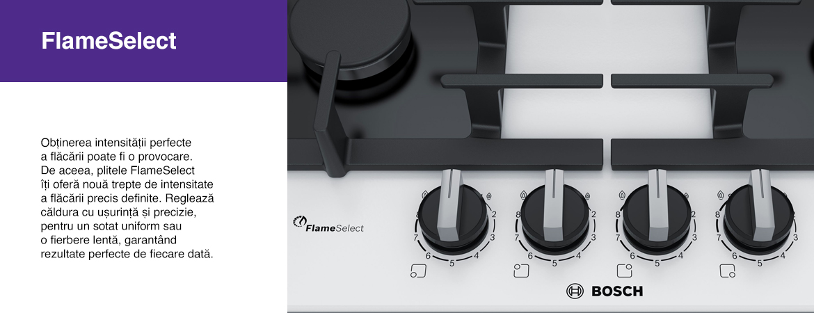 FlameSelect.jpg