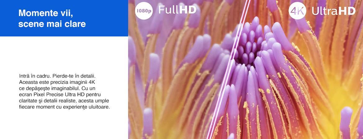 LED_4K.jpg