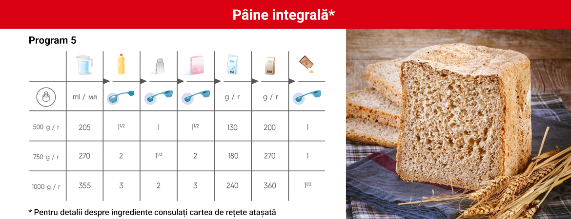 Paine_integrala.jpg